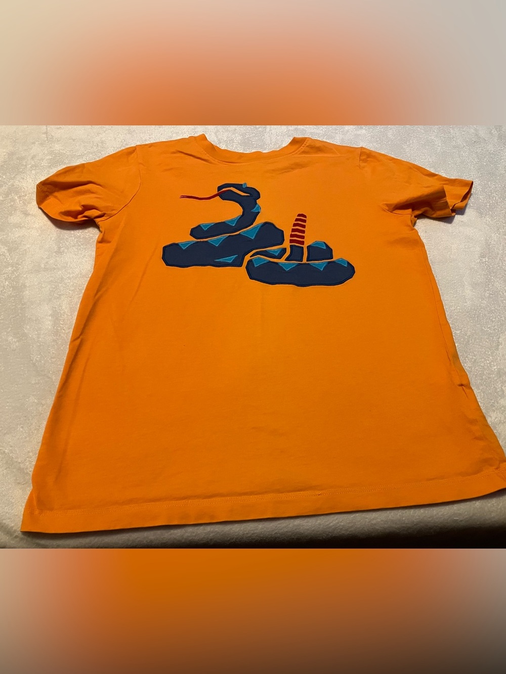 Lands' End Orange Tee with Blue Snake Graphic